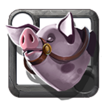 Domesticated Hog