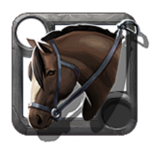 Brown Mare