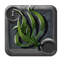Seaweed