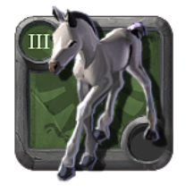 Journeyman's Foal
