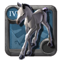 Adept's Foal