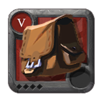 Expert's Bag